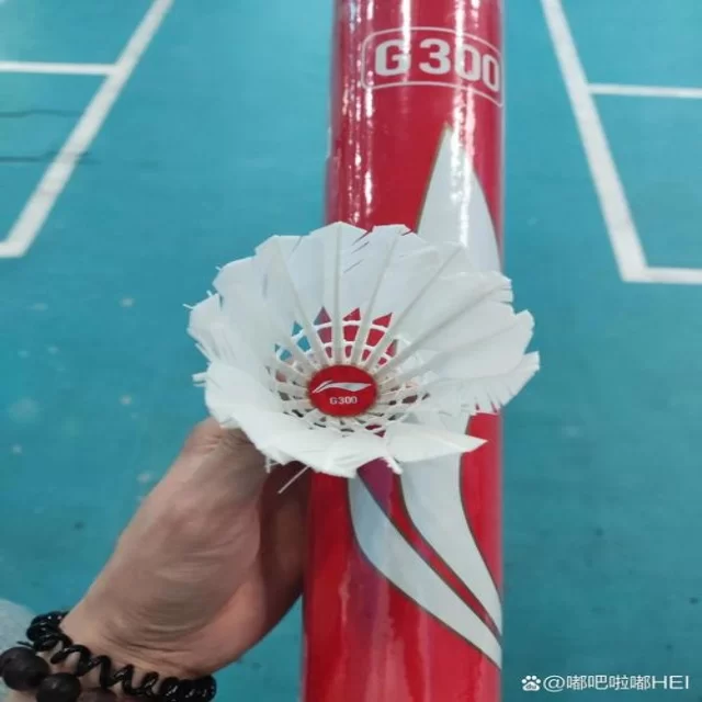 火箭队卡位战全力冲击季后赛席位 - leyu sports